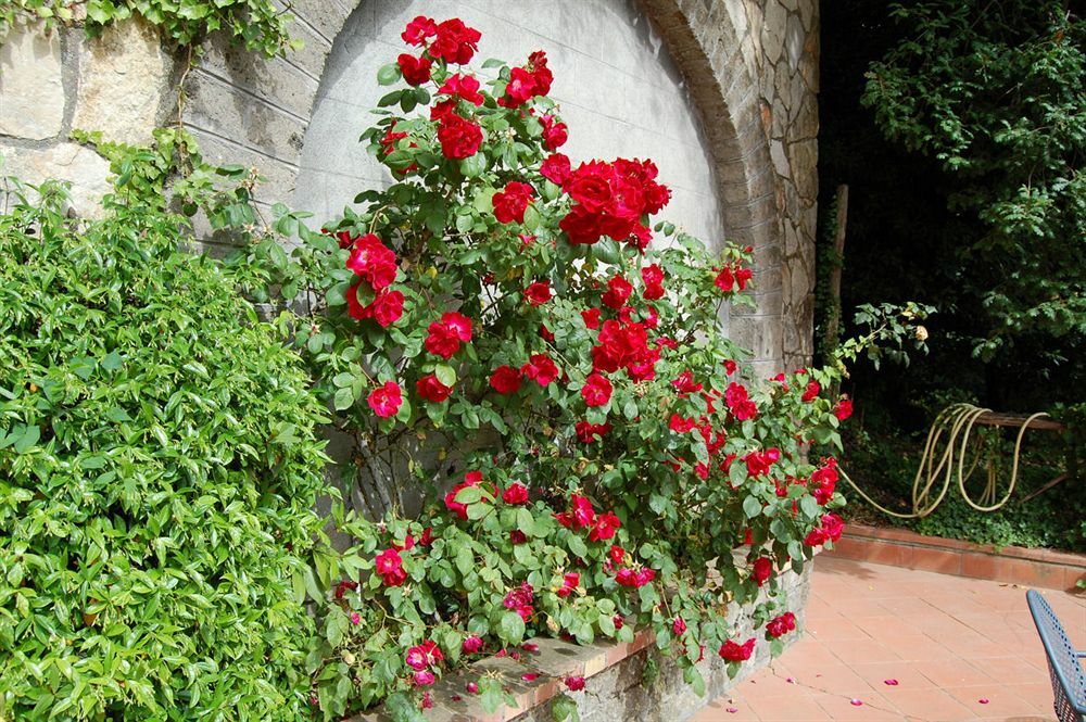 Grand Hotel Hermitage SantʼAgata sui Due Golfi Exterior foto